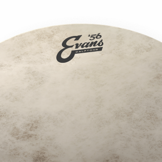 Evans Tt12c7 Calftone Snare Batter - 12 Pouces - Fell für Tom - Variation 1