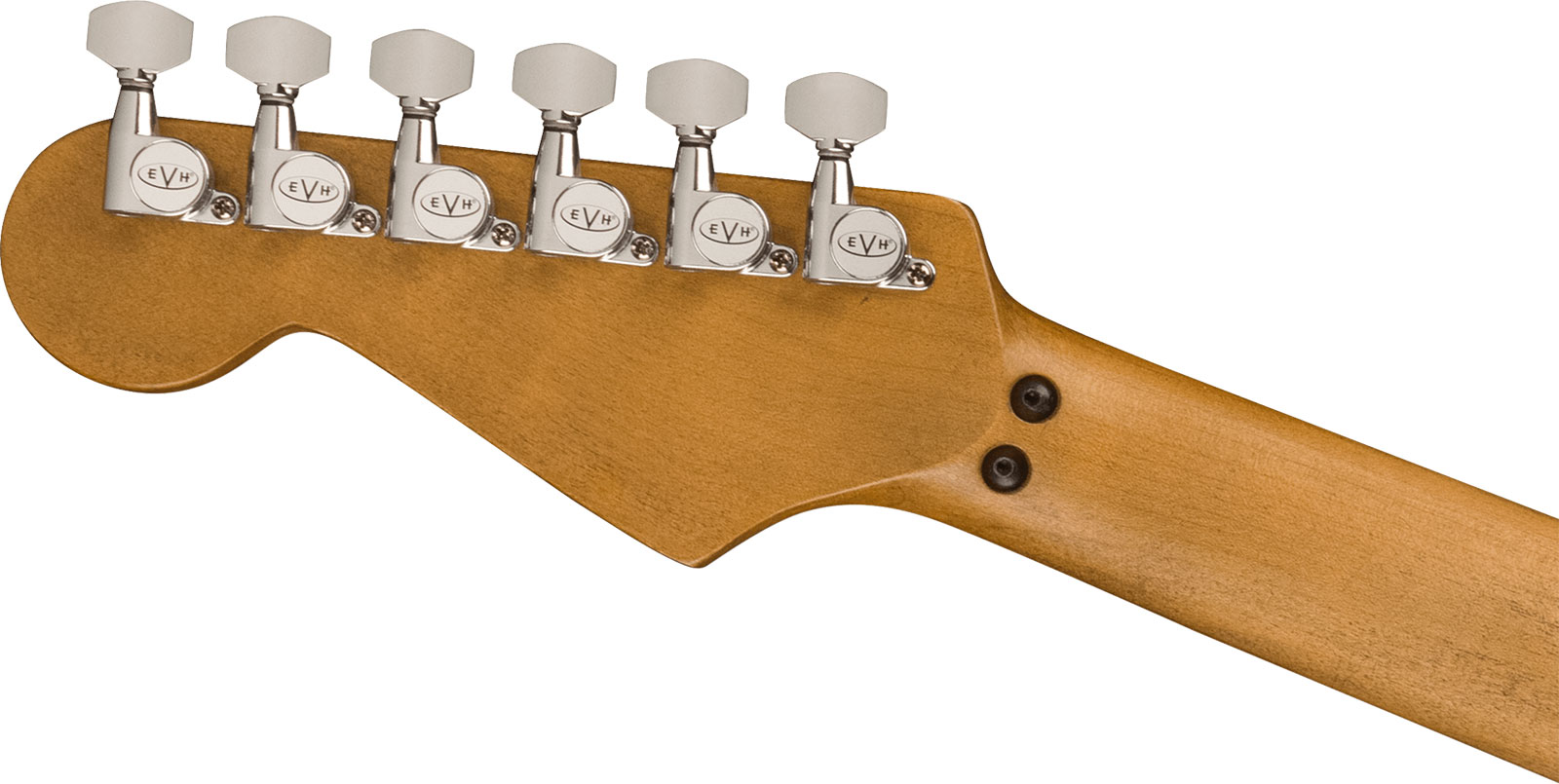 Evh Frankenstein Relic Mex 1h Fr Mn + Premium Cable 42.inc + Premium Strap - Black - E-Gitarre Set - Variation 4