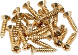 Schraube Fender Pickguard - Control Plate Mounting Screws (24) Gold