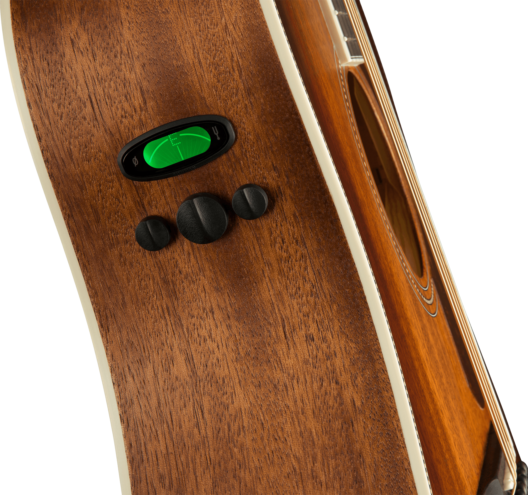 Fender Pm-1e All-mahogany Ne Paramount Dreadnought Tout Acajou Ova +etui - Aged Cognac Burst - Folk-Gitarre - Variation 3