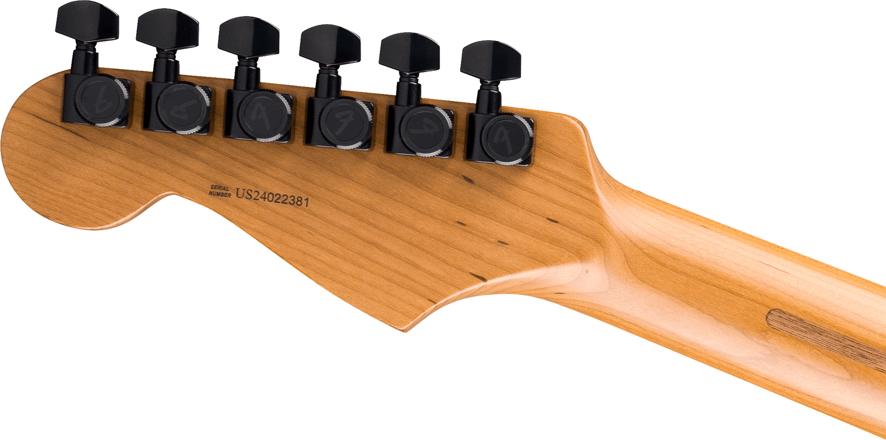 Fender Strat American Pro Ii Hss Ltd Usa Seymour Duncan Ht Mn - Ebony Smoke - E-Gitarre in Str-Form - Variation 3