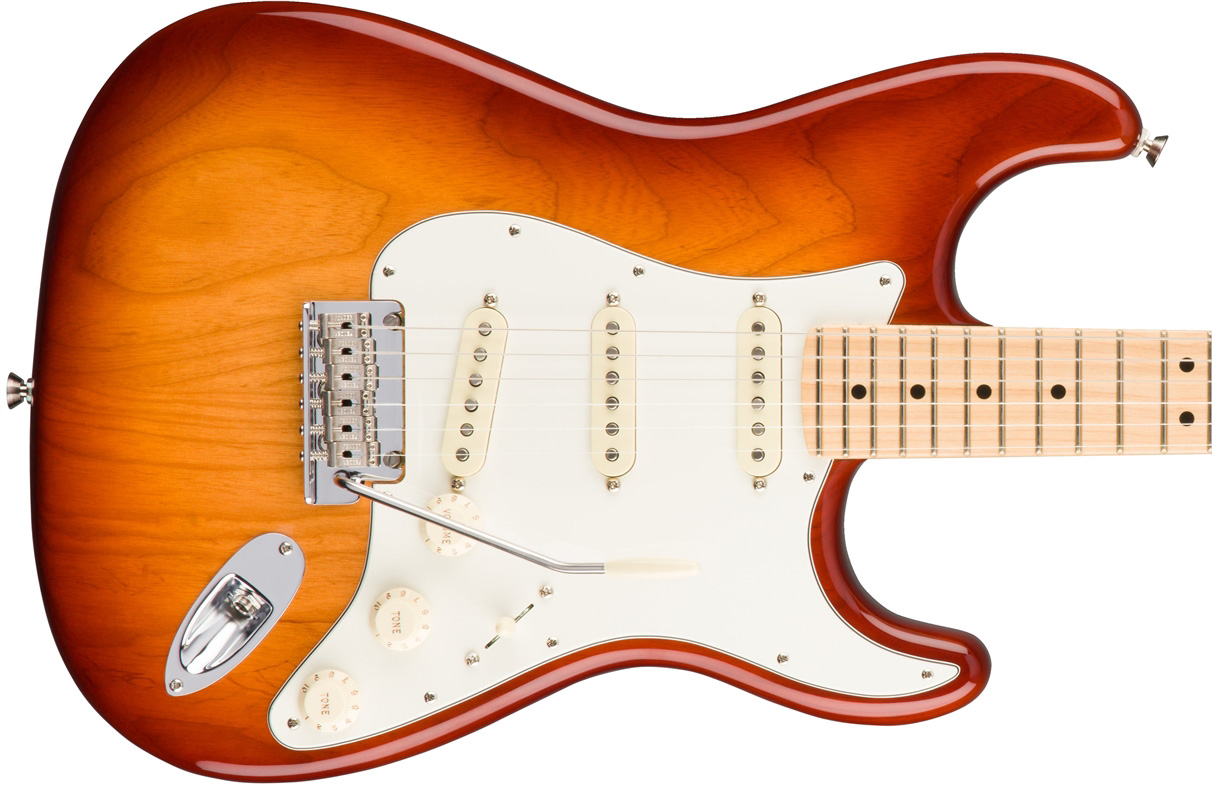 Fender Strat American Professional 2017 3s Usa Mn - Sienna Sunburst - E-Gitarre in Str-Form - Variation 1
