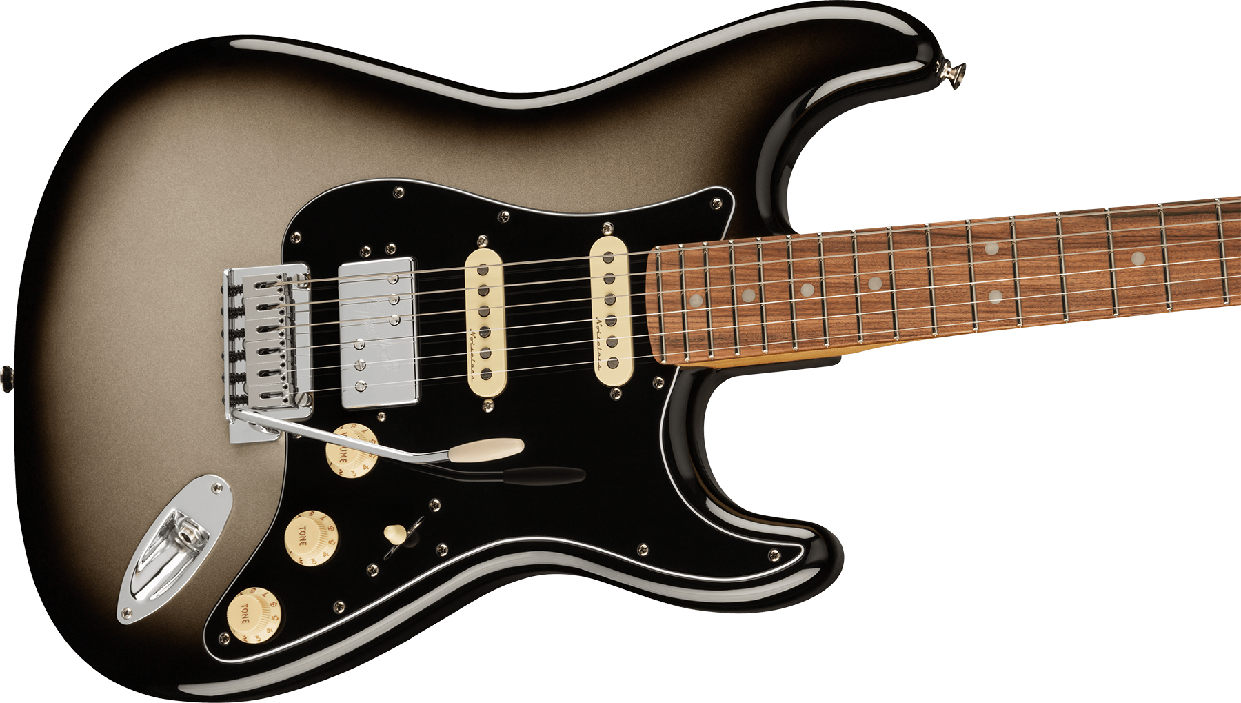 Fender Strat Player Plus Mex Hss Trem Pf - Silverburst - E-Gitarre in Str-Form - Variation 2