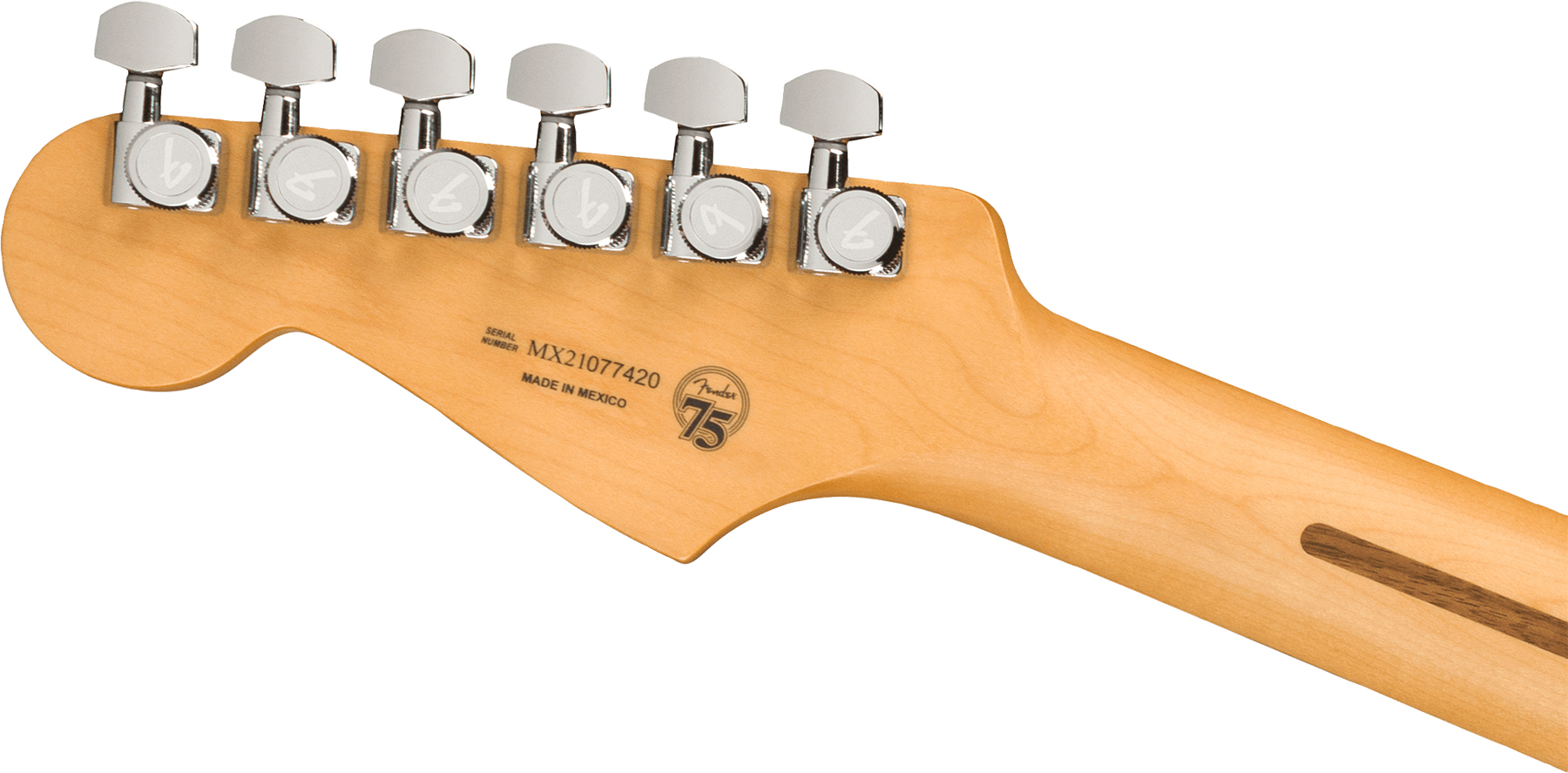 Fender Strat Player Plus Mex Hss Trem Pf - Silverburst - E-Gitarre in Str-Form - Variation 3