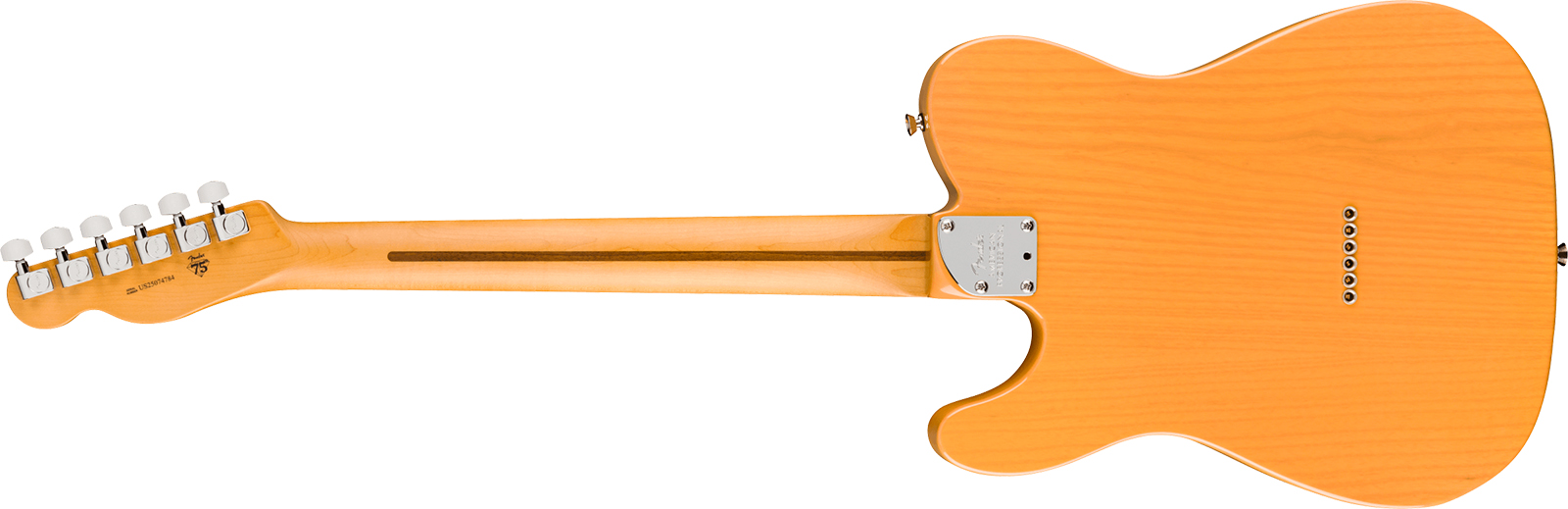 Fender Tele American Pro. Usa  2s Ht Mn - Butterscotch Blonde - E-Gitarre in Teleform - Variation 1