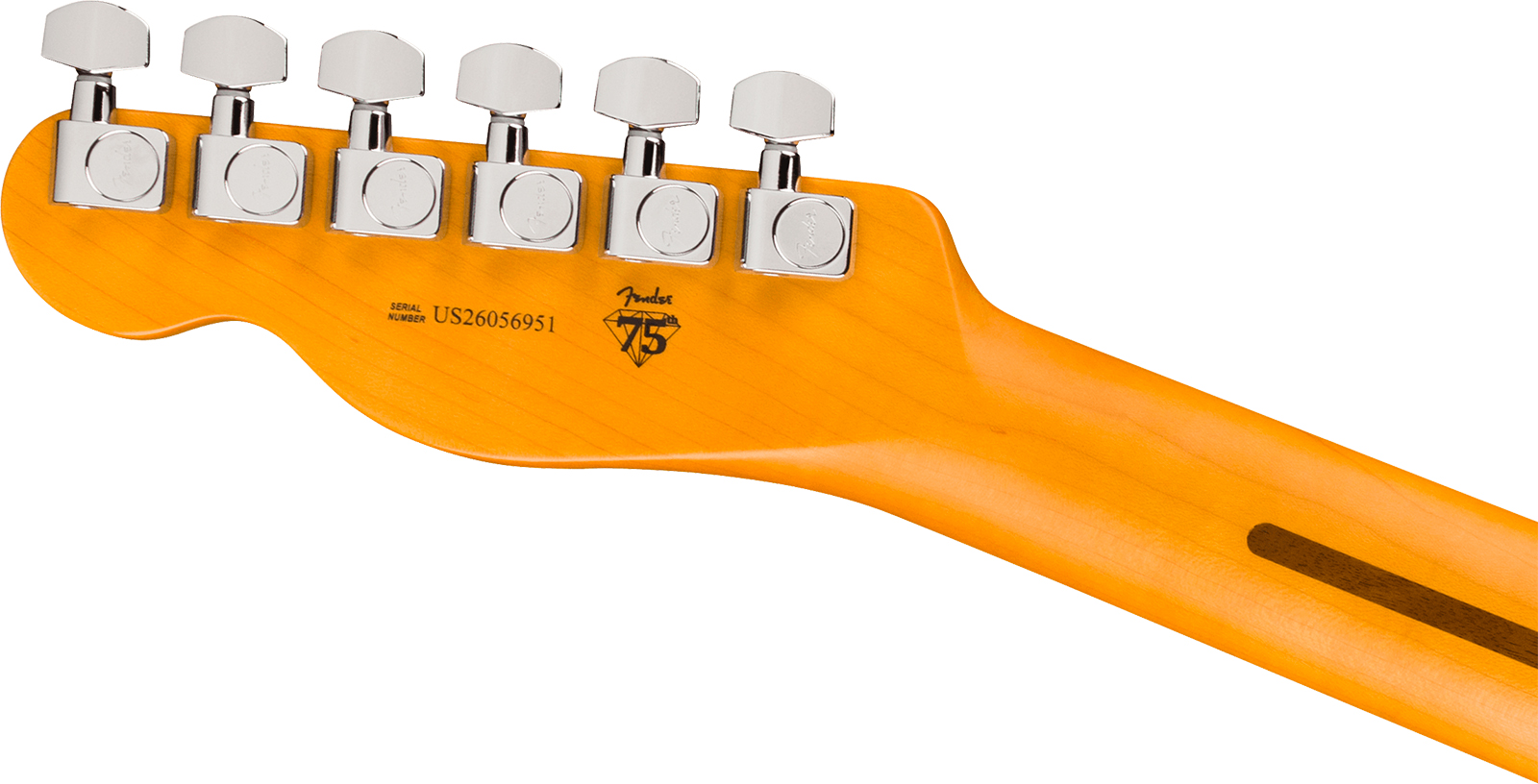 Fender Tele American Pro. Usa  2s Ht Mn - Butterscotch Blonde - E-Gitarre in Teleform - Variation 4