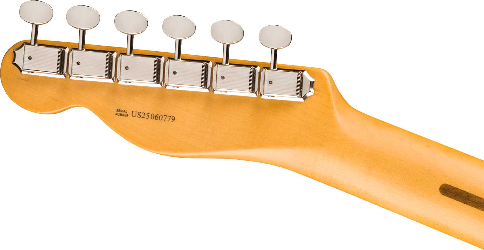 Fender Tele American Professional Classic Usa 2s Ht Mn - Faded Sherwood Green Metallic - E-Gitarre in Teleform - Variation 3