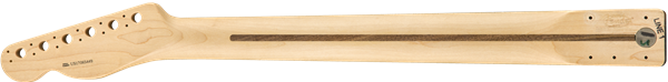 Fender Tele American Professional Neck Rosewood 22 Frets Usa Palissandre - Hals - Variation 2
