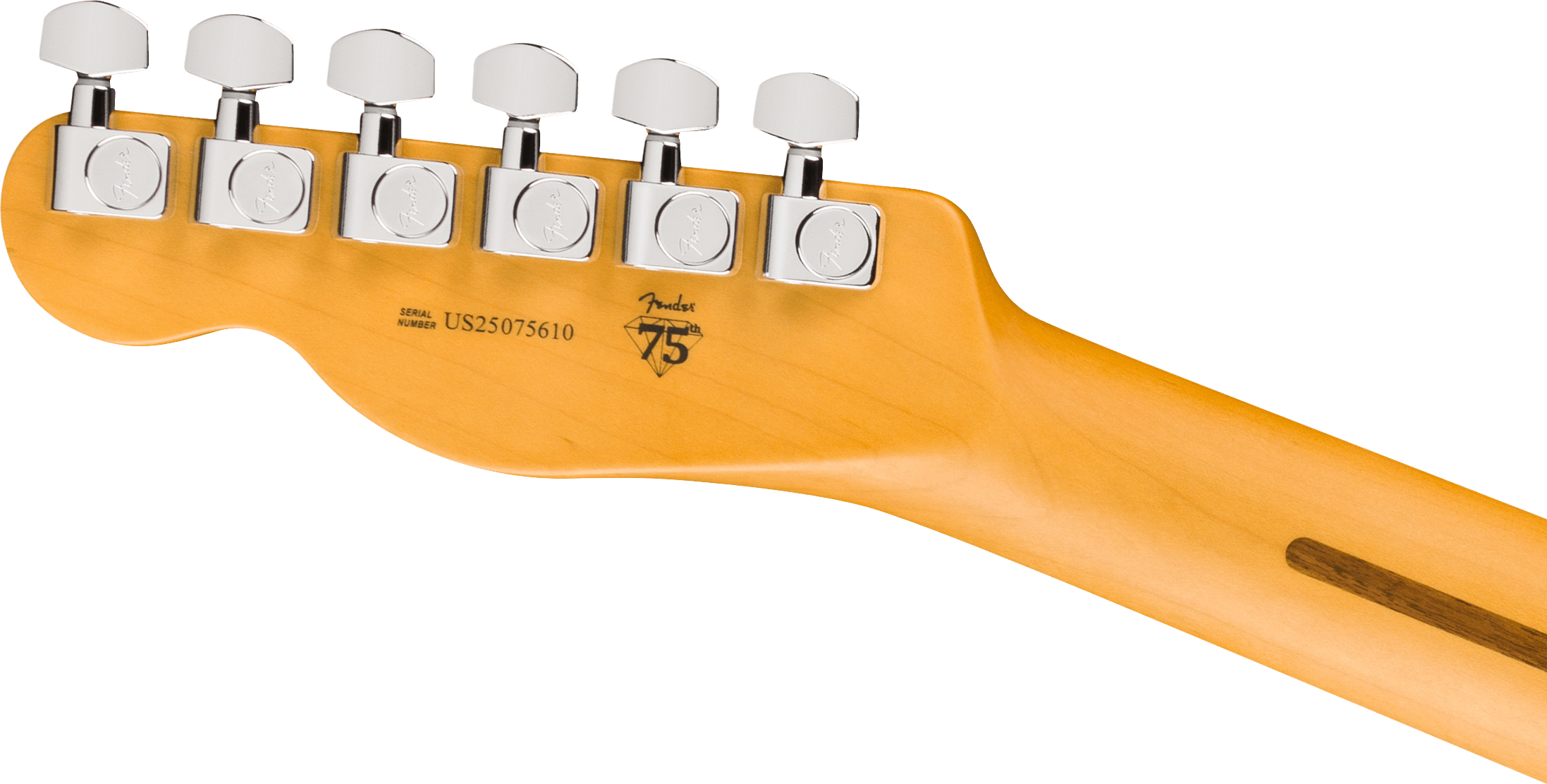 Fender Tele Hot Shot American Pro. Usa  2s Ht Rw - Oxblood - E-Gitarre in Teleform - Variation 4