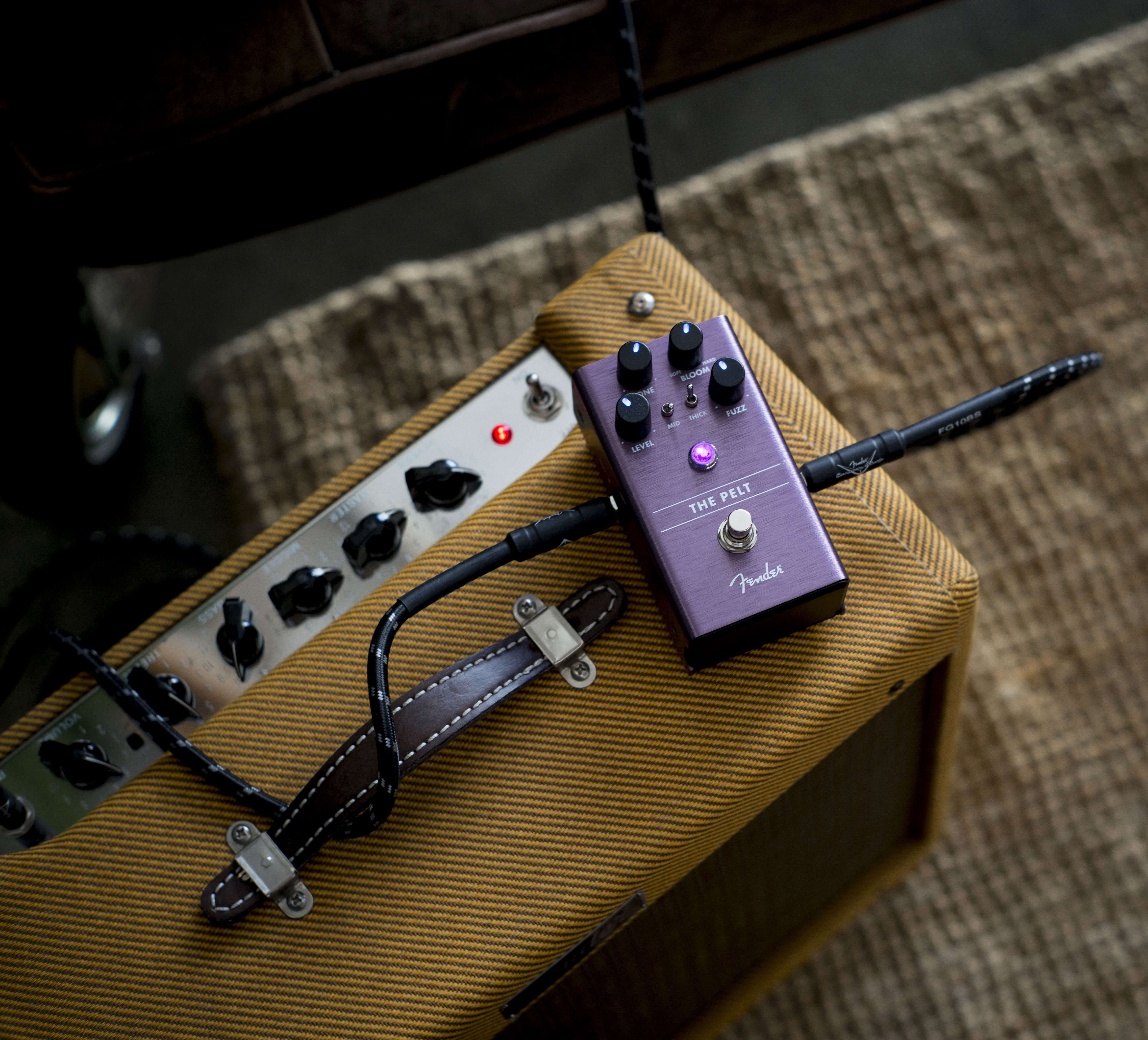 Fender The Pelt Fuzz - Overdrive/Distortion/Fuzz Effektpedal - Variation 5