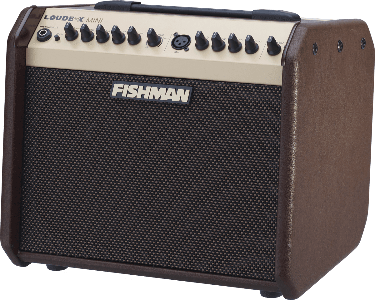 Fishman Loudbox Mini 60w Bluetooth - Combo für Akustikgitarre - Variation 1