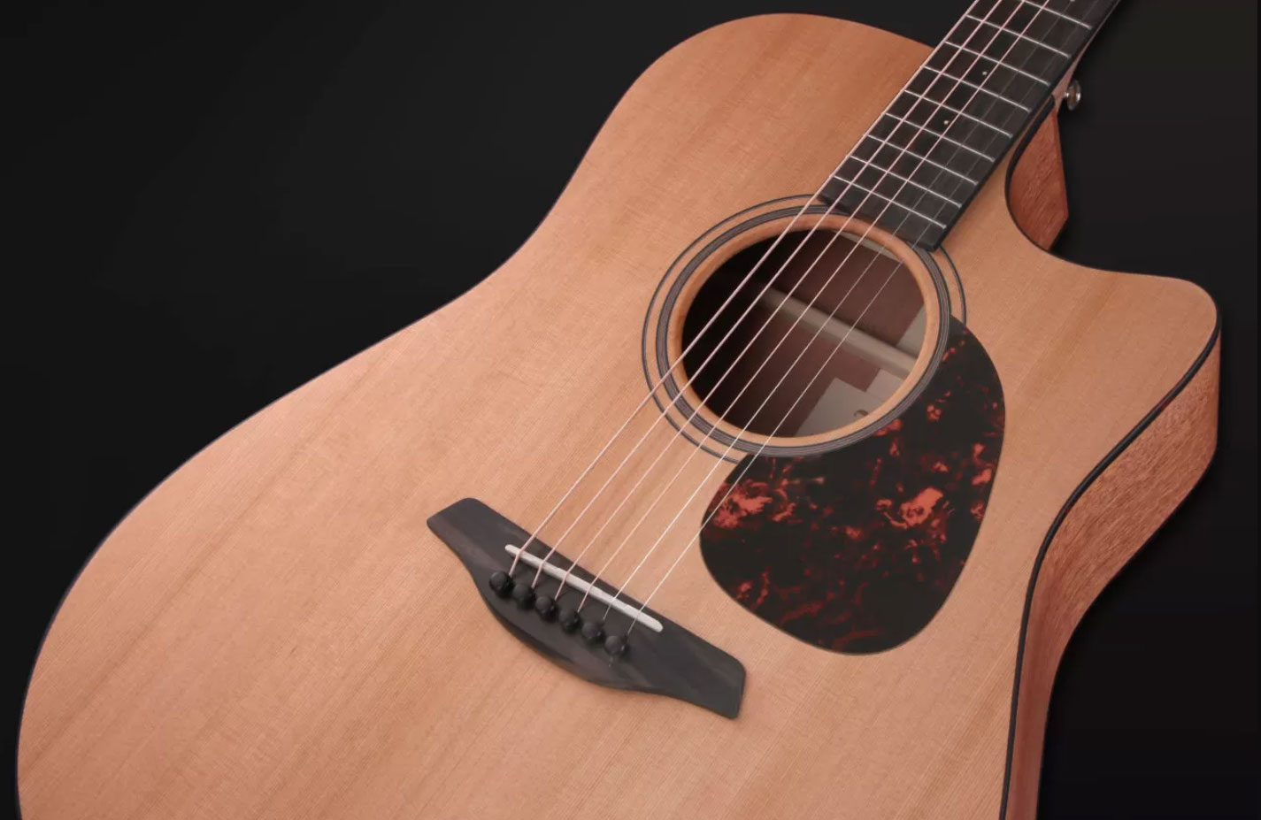 Furch Blue Dc-cm 43mm Lrb1 Dreadnought Cw Cedre Acajou Eb - Natural Full-pore Gloss - Folk-Gitarre - Variation 3