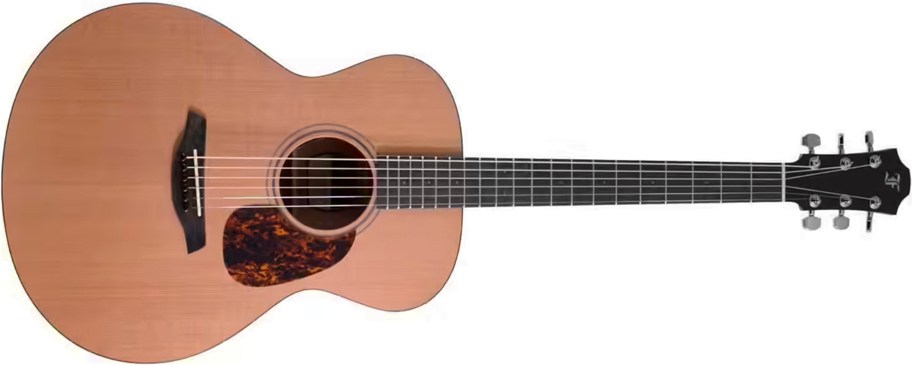 Furch Blue Cm A G Lrb1 Grand Auditorium Cedre Acajou Eb - Natural Open-pore - Folk-Gitarre - Main picture