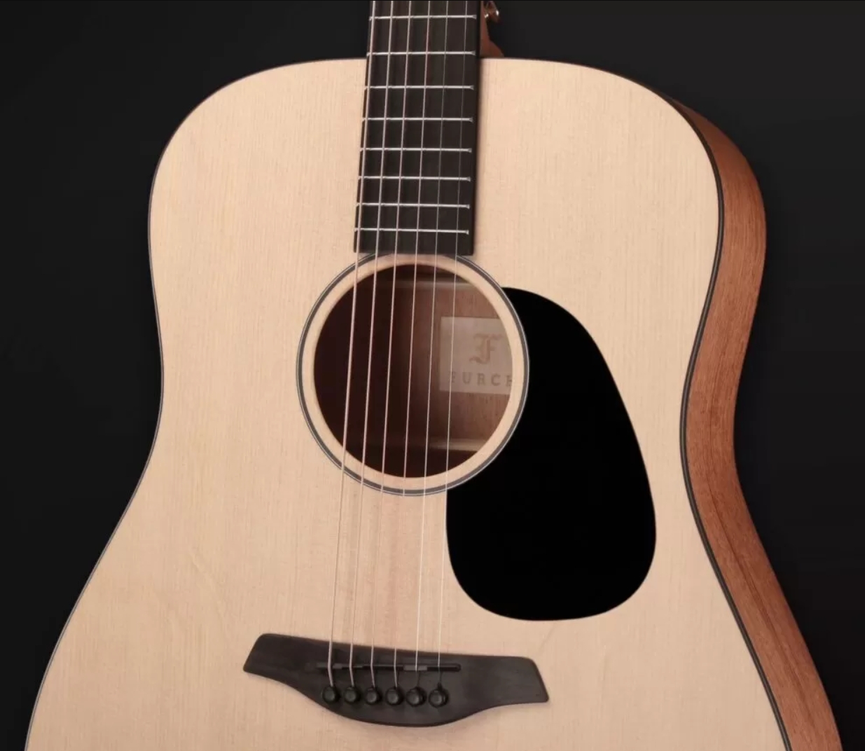 Furch Violet D-em Lrb1 43mm Dreadnought Epicea Acajou Bkbr - Dreadnought-Gitarre - Variation 3