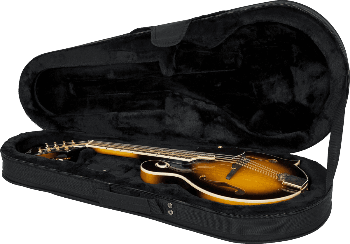 Gator Gl-mandolin Lightweight - Koffer für Mandoline - Main picture