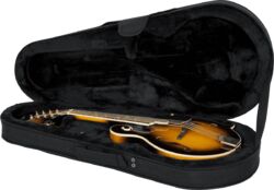 Koffer für mandoline Gator GL-MANDOLIN