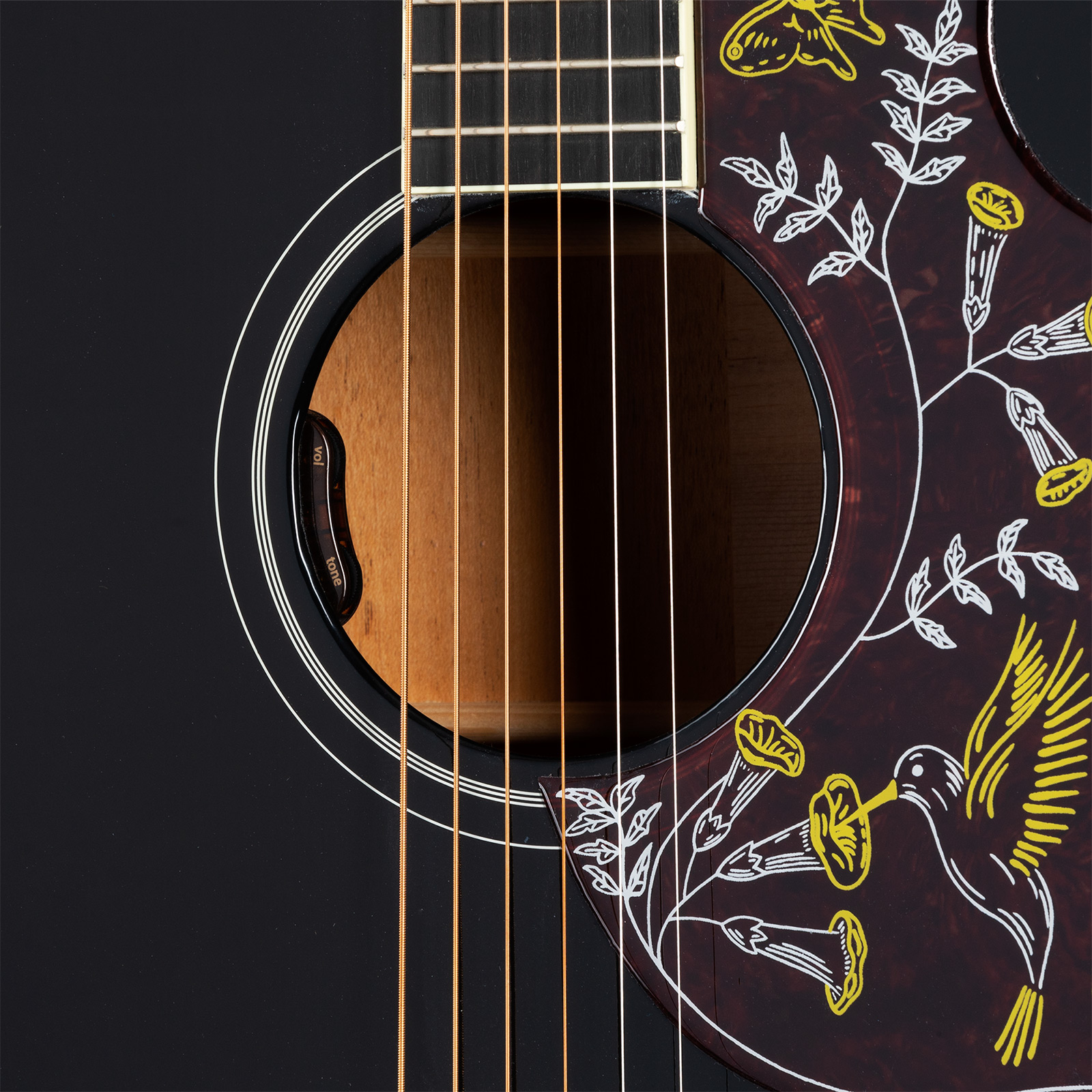 Gibson Hummingbird Standard Modern Dreadnought Epicea Acajou Rw - Ebony - Folk-Gitarre - Variation 4