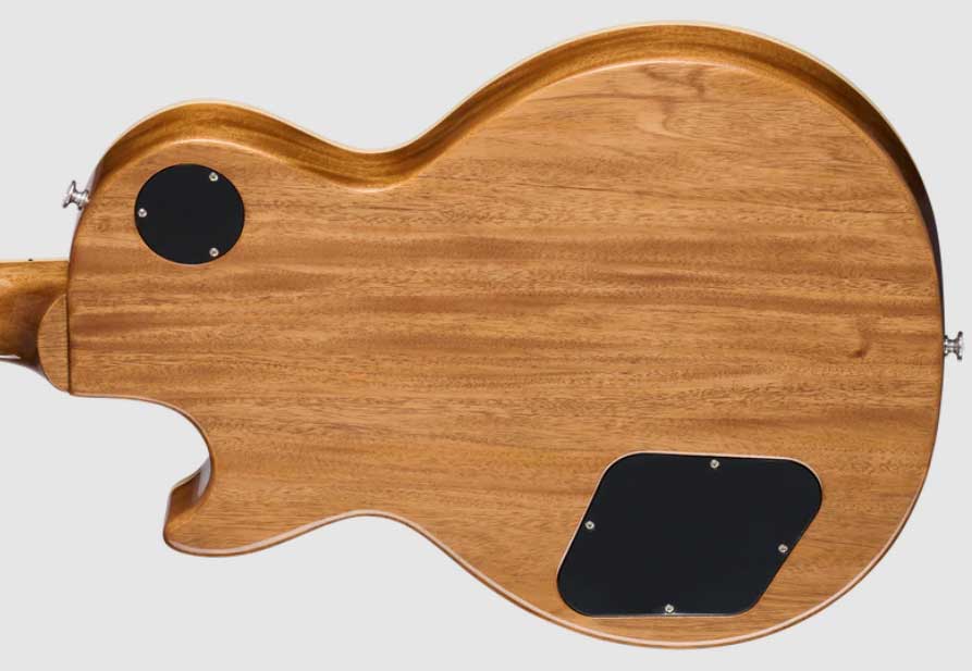 Gibson Les Paul Standard 50s Double Trouble Original Usa 2h Ht Rw - Vintage Honey Burst - Single-Cut-E-Gitarre - Variation 3