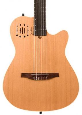 Konzertgitarren 4/4 Godin Multiac Nylon Encore +bag - Natural