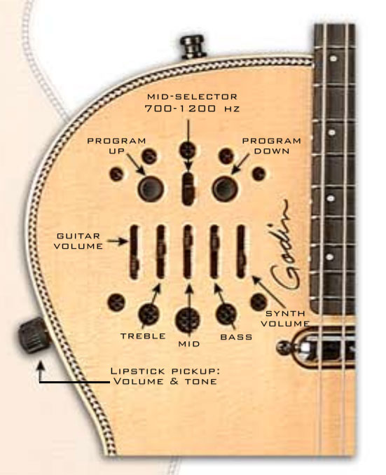 Godin Multiac Steel Spectrum Sa Synth Access Ric +housse - Natural - Westerngitarre & electro - Variation 5