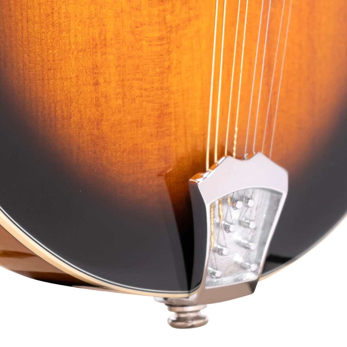 Gold Tone Gm50+ Mandoline Type A Epicea Erable Eb - Sunburst - Mandoline - Variation 1