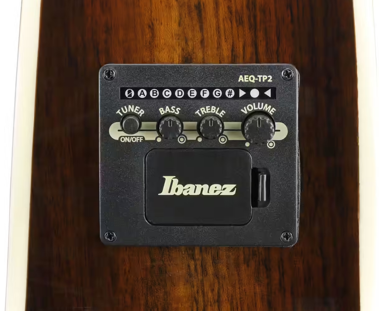 Ibanez Ae160 Vms Concert Thinline Cw Epicea Ovangkol  Ova - Vintage Mahogany Sunburst High Gloss - Folk-Gitarre - Variation 4