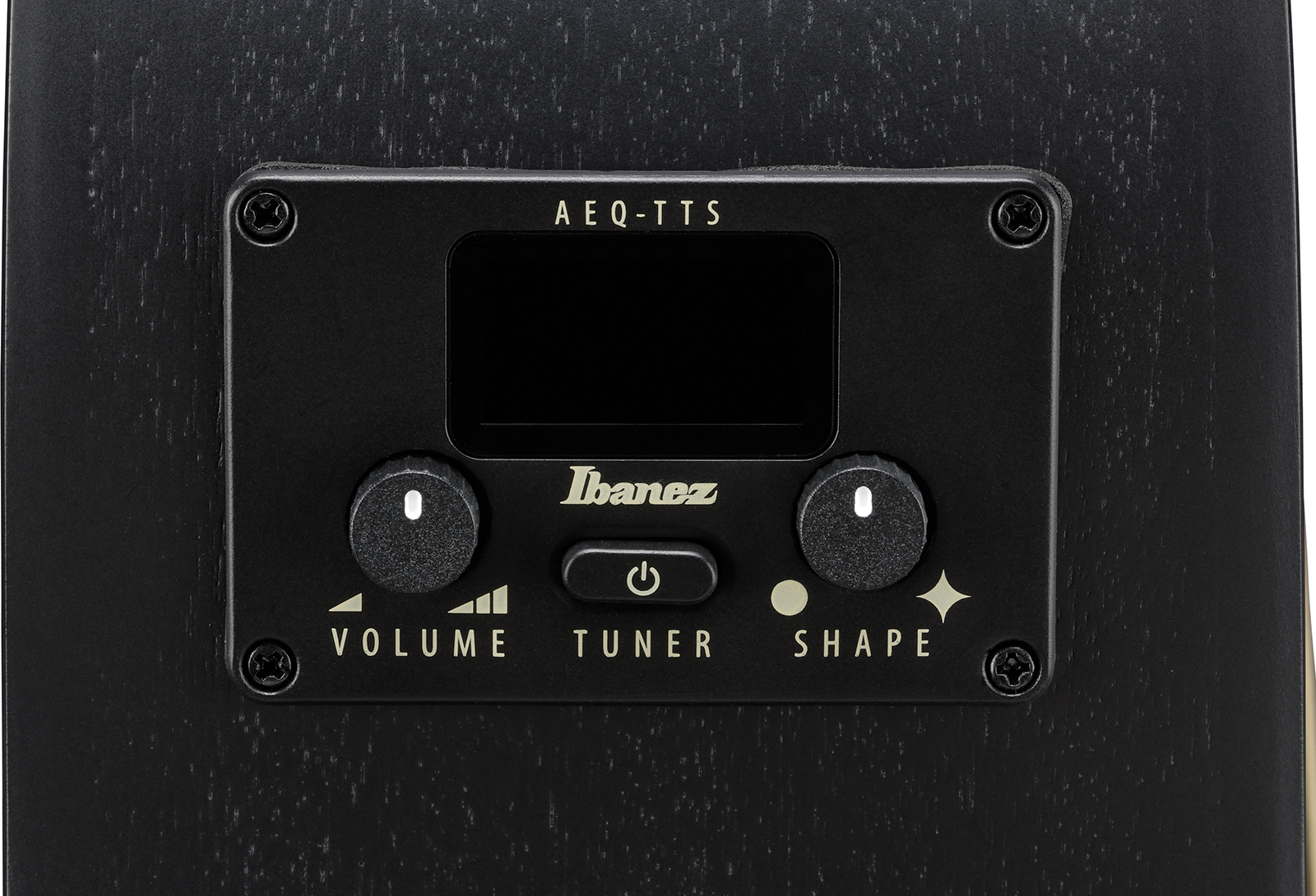 Ibanez Aeg1221 Bot Concert 12c Epicea Sapele Eb - Black Out - Folk-Gitarre - Variation 7