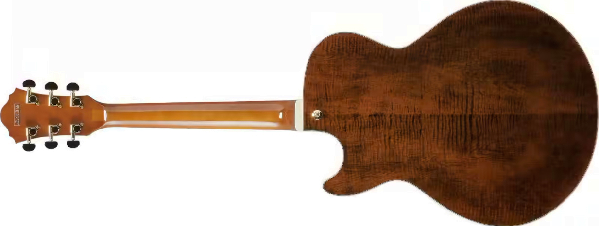 Ibanez Ag95mg Da Artcore Expressionist 2h Ht Eb - Dark Amber - E-Gitarre in Str-Form - Variation 1