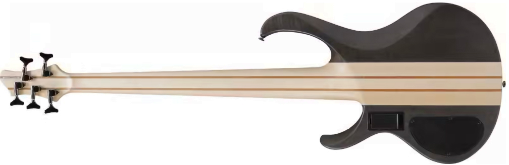 Ibanez Btb605 Tgf Standard 5c Active Eb - Transparent Gray Flat - Solidbody E-bass - Variation 1