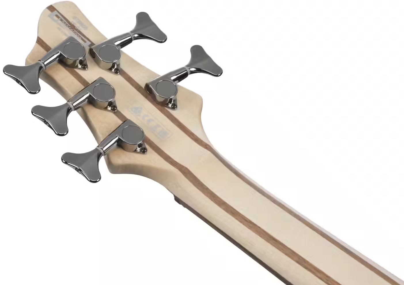 Ibanez Btb605 Tgf Standard 5c Active Eb - Transparent Gray Flat - Solidbody E-bass - Variation 4