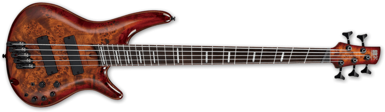 Ibanez Srms805 Btt Bass Workshop Multiscale Active - Brown Topaz Burst - Solidbody E-bass - Main picture