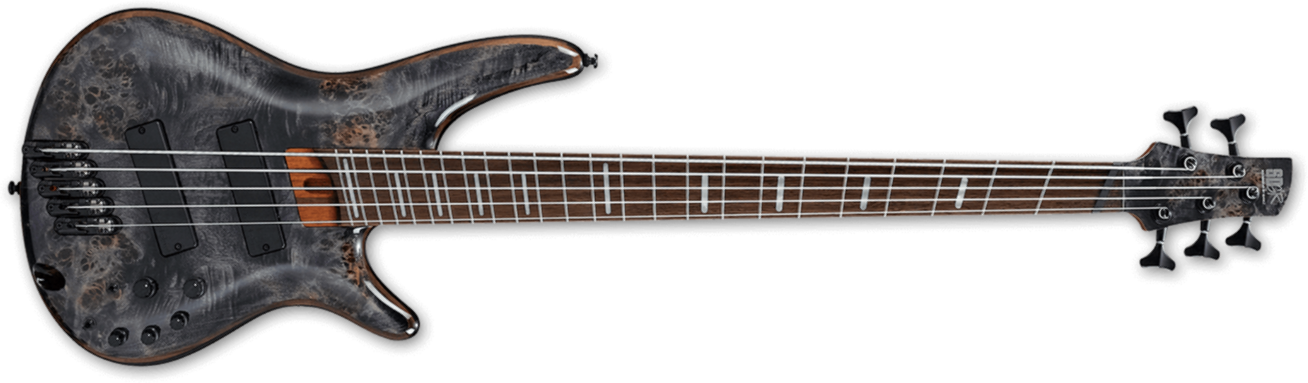 Ibanez Srms805 Dtw Workshop 5c Multiscale Active Bartolini Pp - Deep Twilight - Solidbody E-bass - Main picture