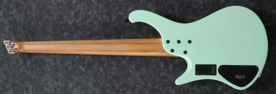 Ibanez Ehb1005ms Sfm Workshop 5c Multiscale Active Bartolini Mn - Sea Foam Green Matte - Solidbody E-bass - Variation 1