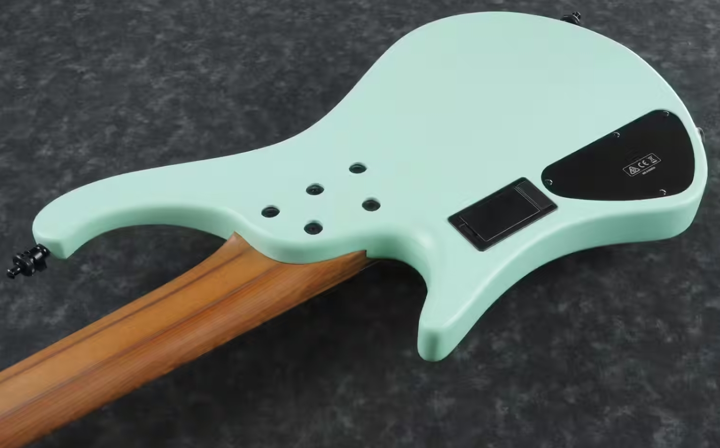Ibanez Ehb1005ms Sfm Workshop 5c Multiscale Active Bartolini Mn - Sea Foam Green Matte - Solidbody E-bass - Variation 3
