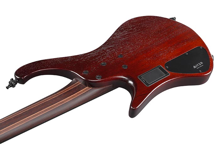 Ibanez Ehb1505s Del Workshop 5c Shsc Active Pp - Dragon Eye Burst Low Gloss - E-Reisebass - Variation 3