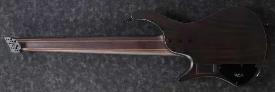 Ibanez Ehb1506ms Bif Workshop 6c Multiscale Active Pp - Black Ice Flat - Solidbody E-bass - Variation 1