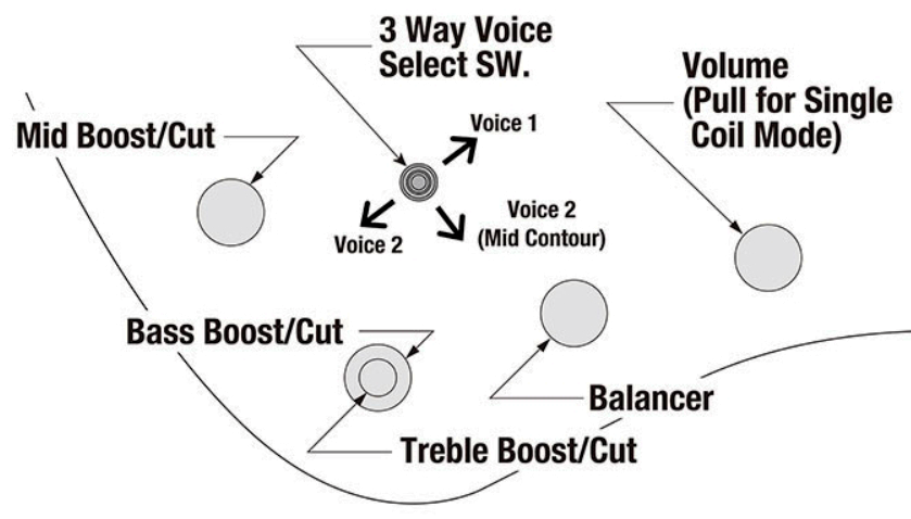 Ibanez Ehb1675ms Ntf Workshop 5c Multiscale Active Pp - Natural Flat - Solidbody E-bass - Variation 4