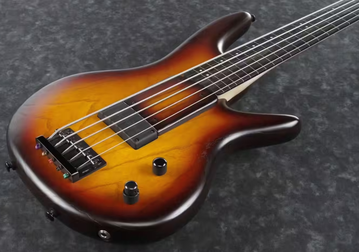Ibanez Gary Willis Gwb205 Tqf Signature Fretless 5c Active Bartolini Eb - Tequila Sunrise Flat - Solidbody E-bass - Variation 2