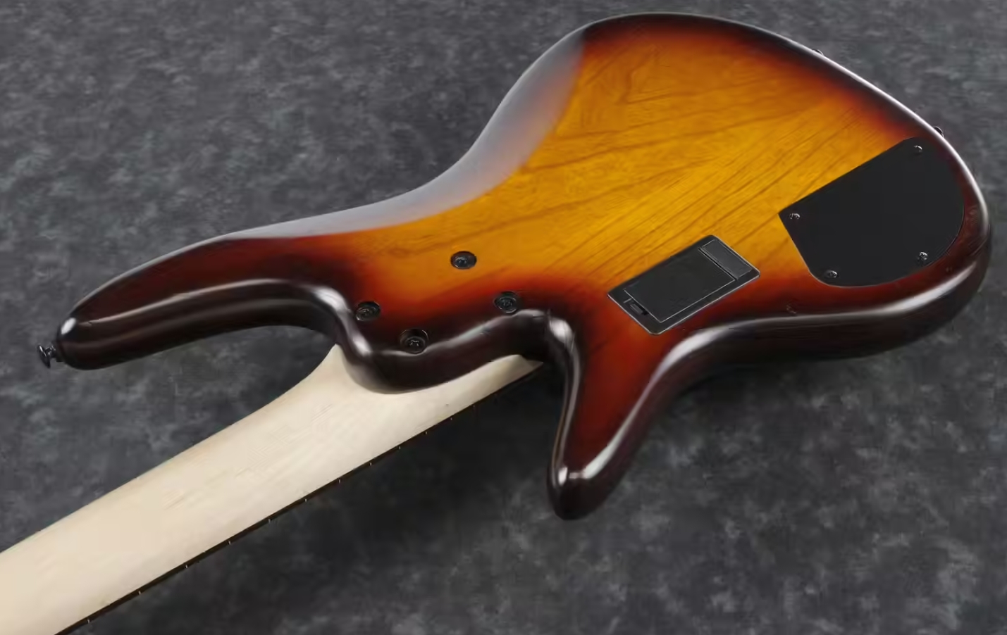 Ibanez Gary Willis Gwb205 Tqf Signature Fretless 5c Active Bartolini Eb - Tequila Sunrise Flat - Solidbody E-bass - Variation 3