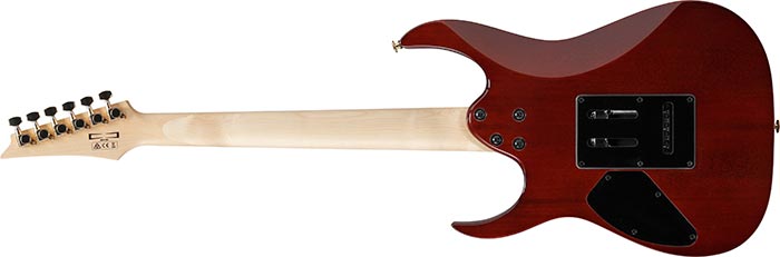 Ibanez Grg220pa Rlb Gio 2h Trem Pur - Royal Purple Burst - E-Gitarre in Str-Form - Variation 1