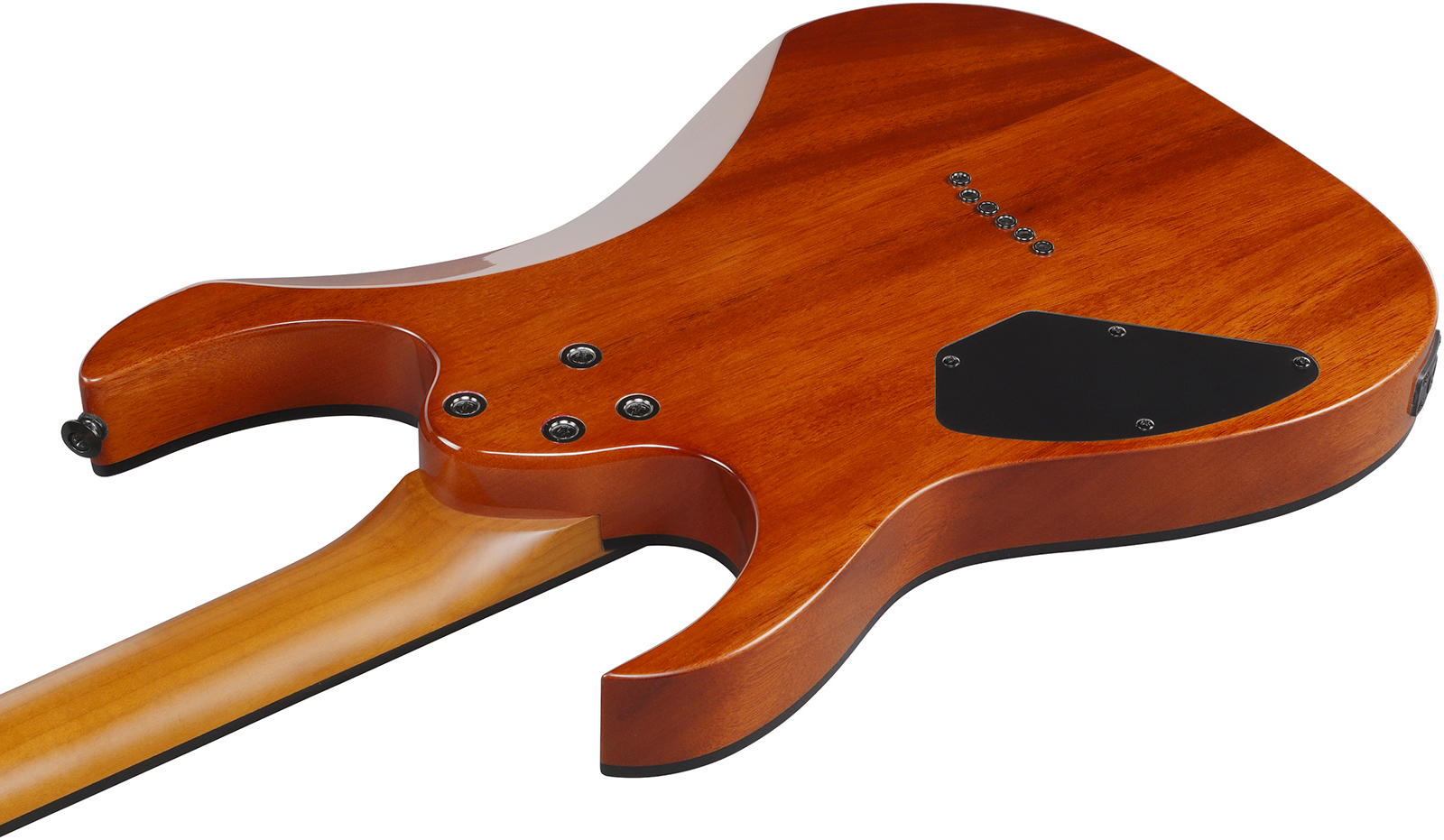 Ibanez Grgr221fa Tdk Gio 2h Ht Pur - Transparent Indigo Black - E-Gitarre in Str-Form - Variation 3