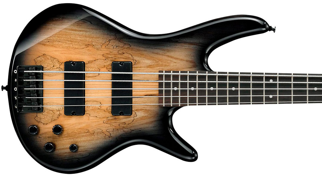 Ibanez Gsr205sm Ngt Gio Nzp - Natural Gray Burst - Solidbody E-bass - Variation 1