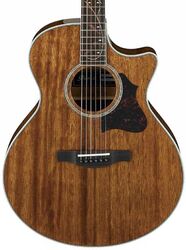 Folk-gitarre Ibanez AE245 NT - Natural