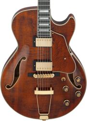 E-gitarre in str-form Ibanez Artcore Expressionist AG95MG DA - dark amber