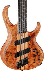 Solidbody e-bass Ibanez Bass Workshop BTB805MS FNL 5-String - Florid Natural Low Gloss