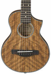 Folk-gitarre Ibanez EWP14WB OPN - Open pore  natural