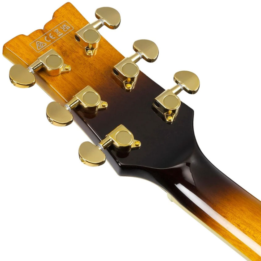 Ibanez John Scofield Jsm10em Ttb Signature 2h Ht Wal - Two-tone Burst - Semi-Hollow E-Gitarre - Variation 5