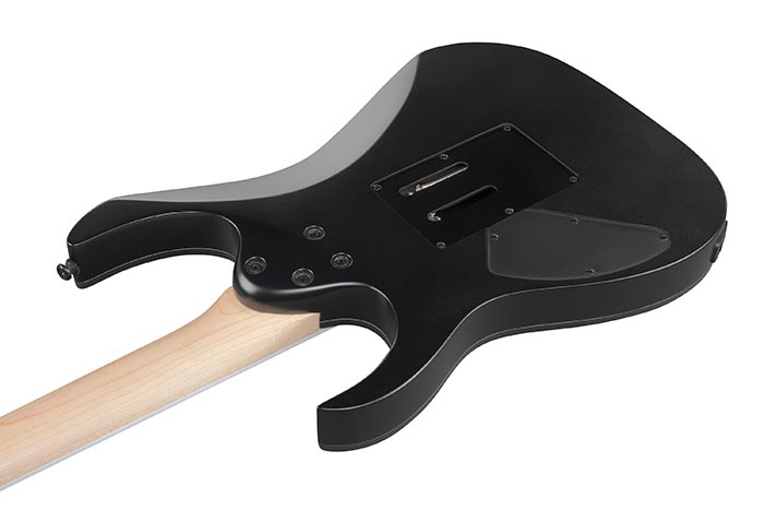 Ibanez Rg420ex Bkf Standard 2h Fr Jat - Black Flat - E-Gitarre in Str-Form - Variation 3