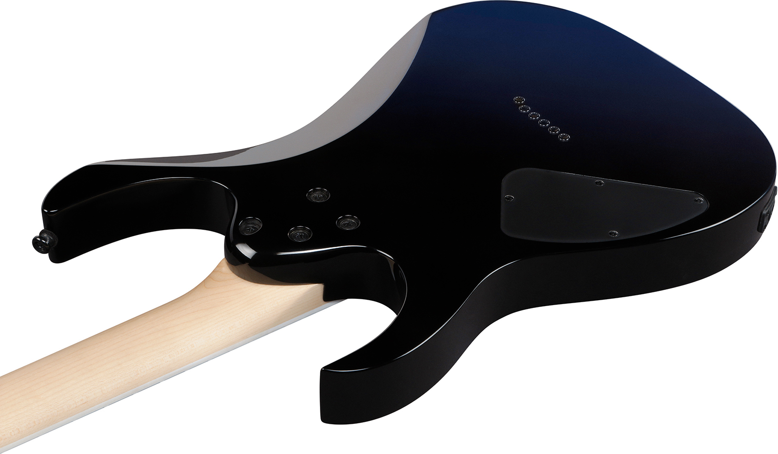 Ibanez Rg421dx Tws Standard 2h Ht Jat - Twilight Shade - E-Gitarre in Str-Form - Variation 3