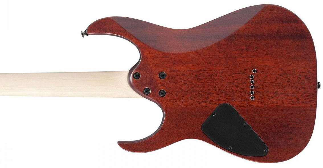 Ibanez Rg421s Sem Standard 2h Ht Ja - Sea Shore Matte - E-Gitarre in Str-Form - Variation 3